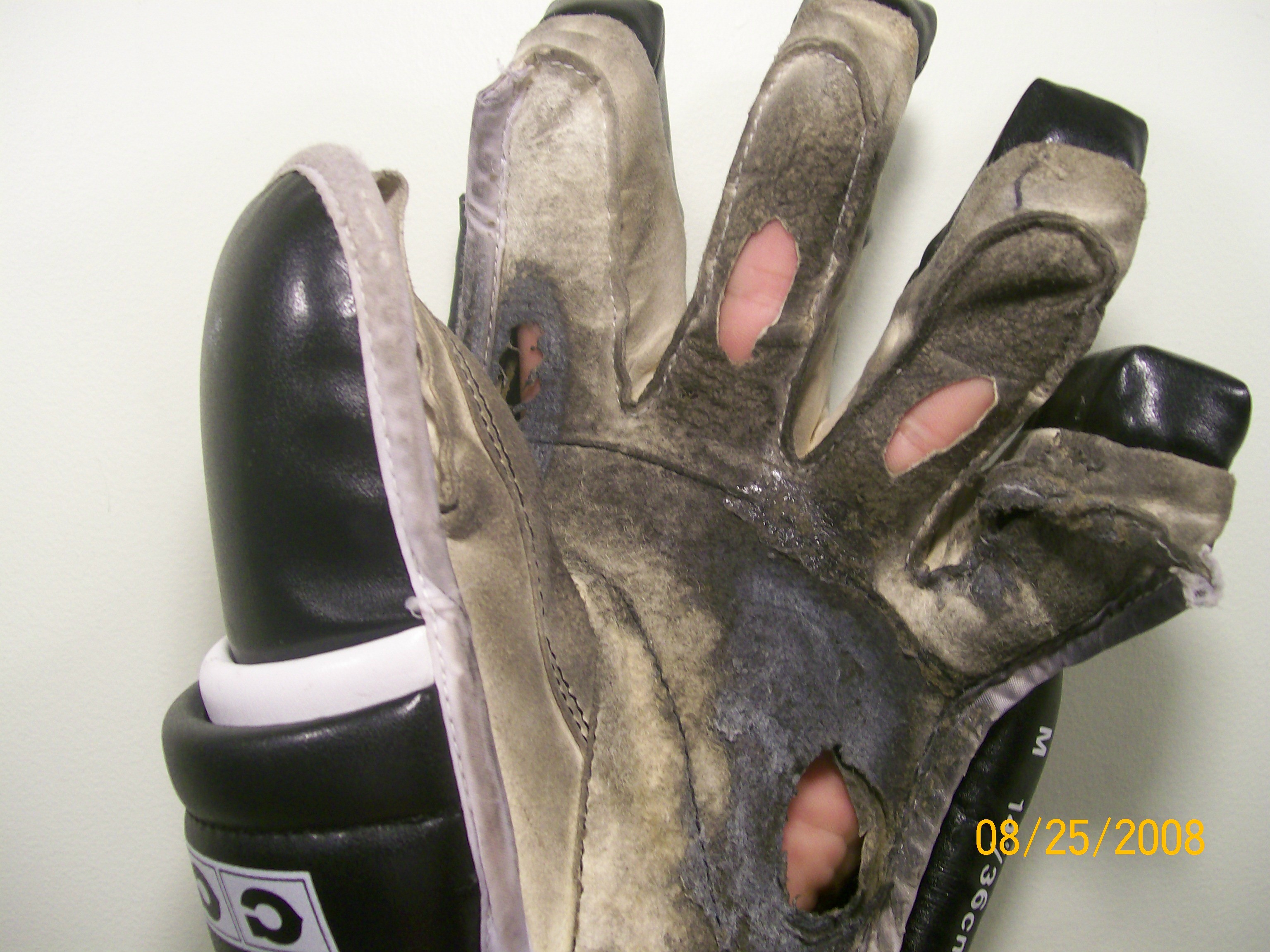Palm before